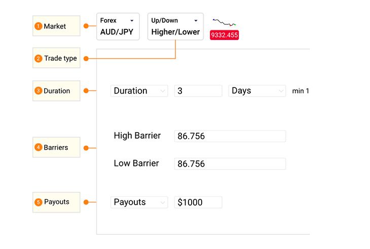 What are binary options