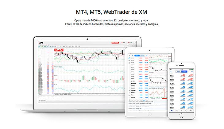 Elije entre variadas plataformas XM Forex